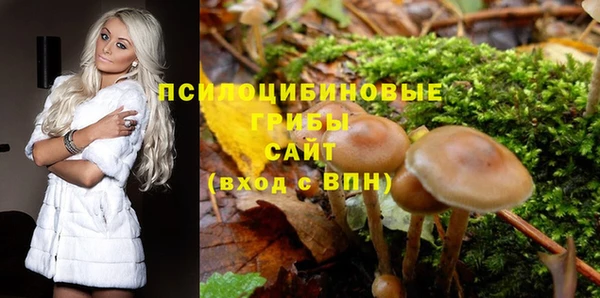 марки nbome Алзамай