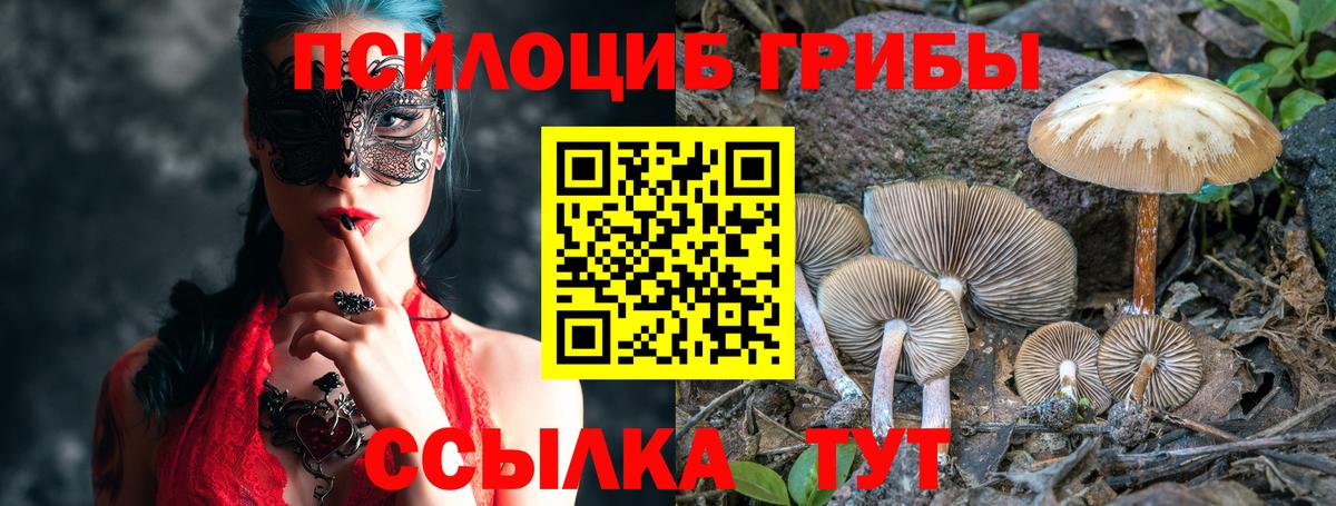 Галлюциногенные грибы MAGIC MUSHROOMS  Галлюциногенные грибы Psilocybine cubensis  даркнет сайт  Вход с VPN  Тобольск 